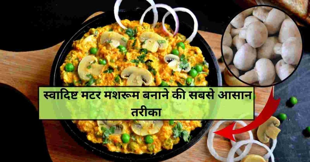 2024 Yummy Matar Mushroom Recipe in Hindi: सर्दियों के दिनों में मशरुम से बनाये एक और स्वादिष्ट डिश