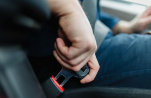 सीट बेल्ट