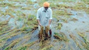 पंजाब के मौसम