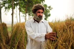 पंजाब