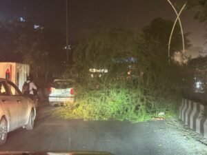 दिल्ली-NCR