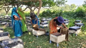 उत्तर प्रदेश