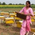 उत्तर प्रदेश में महिला सशक्तिकरण की नई पहल: मधुमक्खी पालन से बदलेगी ग्रामीण महिलाओं की आर्थिक स्थिति