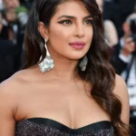 प्रियंका चोपड़ा का इंटरनेशनल प्रोजेक्ट 2026: हॉलीवुड में बड़ा धमाका